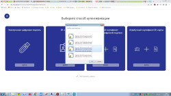 8. 1. После Войти с ЭЦП выбирать сертификат очищ.jpg